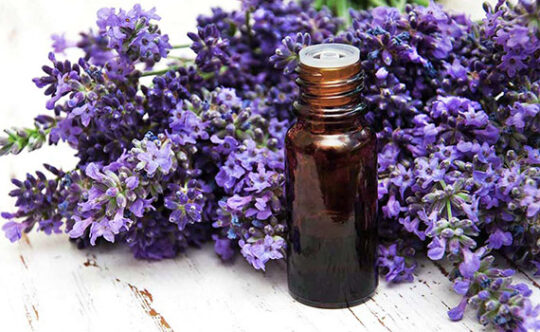 8 Amazing Benefits of Lavender Oil