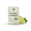 VD Garcinia Cambogia Capsule