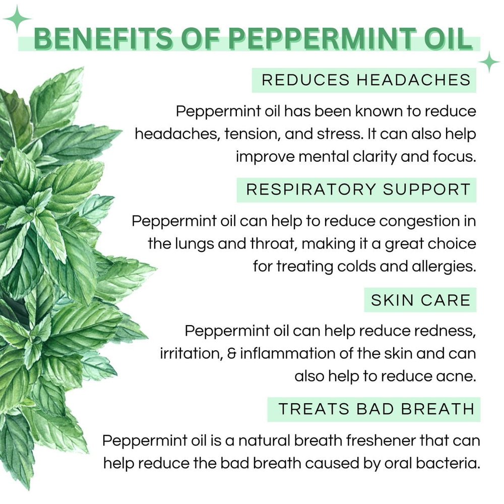 100% Pure Peppermint Essential Oil - Therapeutic Grade Aromatherapy Oil 4 100% Pure Peppermint Essential Oil - Therapeutic Grade Aromatherapy Oil - Image 3
