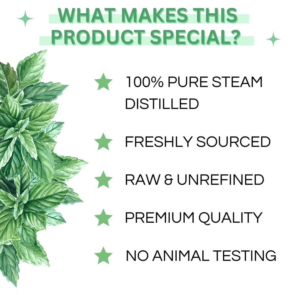 100% Pure Peppermint Essential Oil - Therapeutic Grade Aromatherapy Oil 5 100% Pure Peppermint Essential Oil - Therapeutic Grade Aromatherapy Oil - Image 4