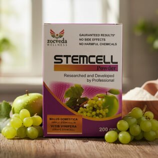 STEM CELL