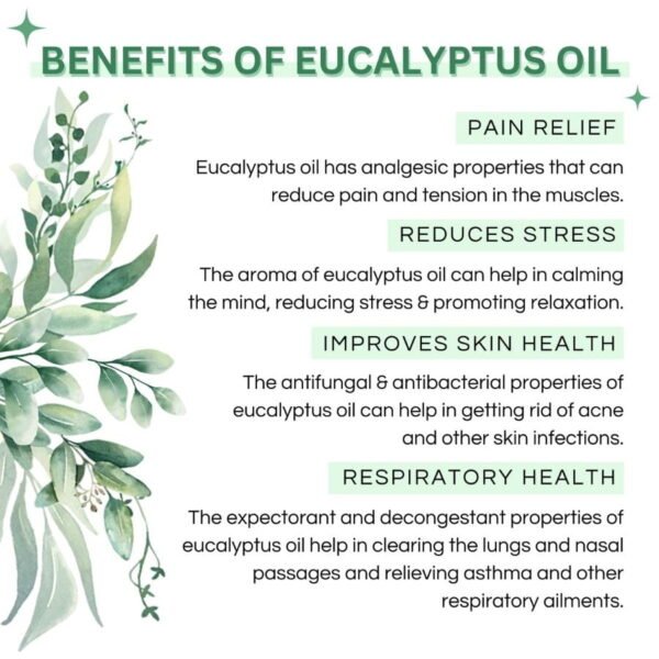 100% Pure Eucalyptus Essential Oil - Therapeutic Grade - Image 3