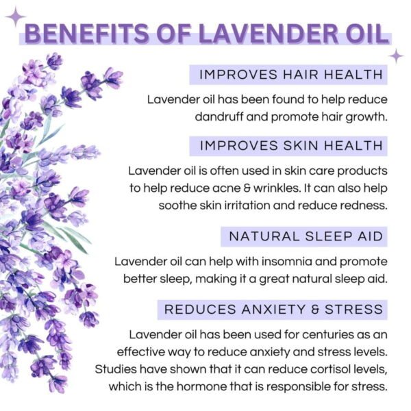 100% Pure Lavender Essential Oil - Therapeutic Grade Aromatherapy Oil - Image 3