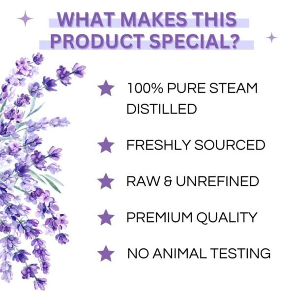 100% Pure Lavender Essential Oil - Therapeutic Grade Aromatherapy Oil - Image 4