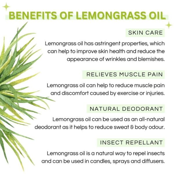 100% Pure Lemongrass Essential Oil - Therapeutic Grade For Acne, Anxiety & Muscle Pain - 15ml - Image 3