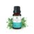 PEPPERMINT 01