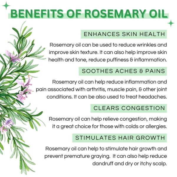 Mystic Pure Rosemary Essential Oil For Hair Growth & Reduce Hair Fall - Therapeutic Grade - Image 2