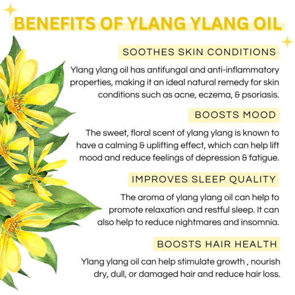 100% Pure Ylang Ylang Essential Oil - Therapeutic Grade Aromatherapy Oil - 15ml - Image 3